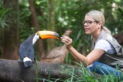 ¡Sumérgete en la magia del Parque das Aves, un paraíso tropical para las almas aventureras!